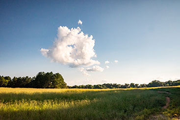 Clouds over a field. Links to Gifts from Retirement Plans