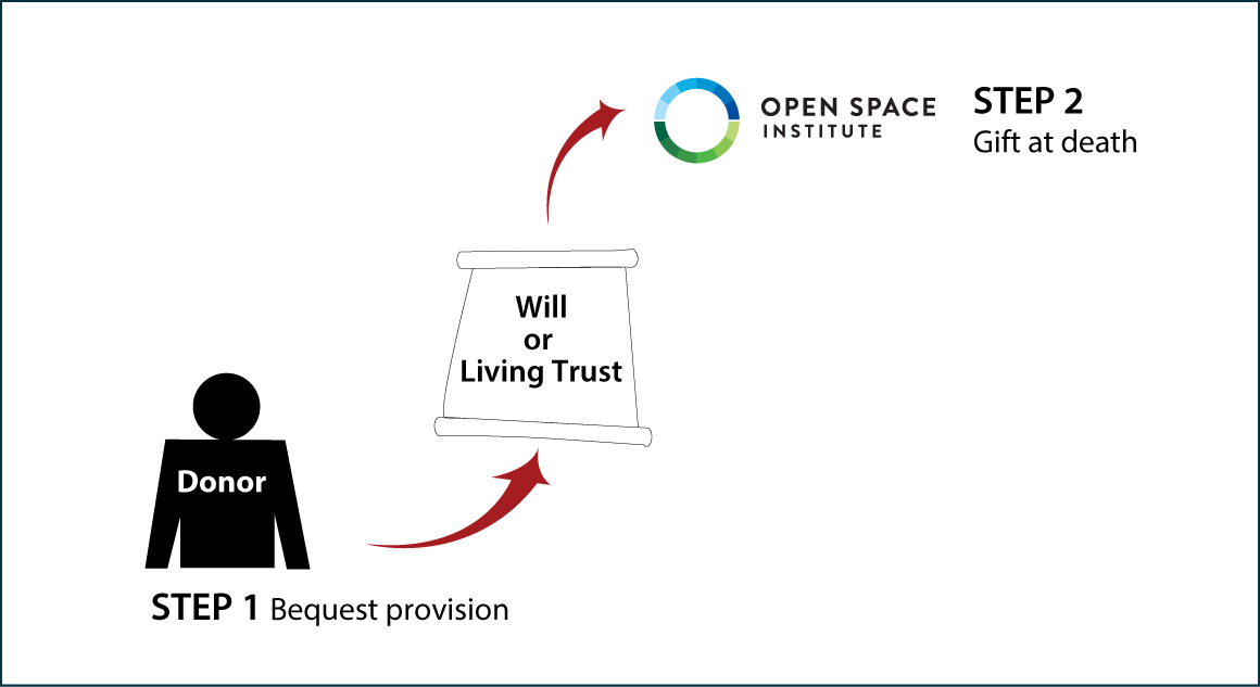 Gifts by Will Diagram. Description of image is listed below. Gifts by Will Diagram. Description of image is listed below.